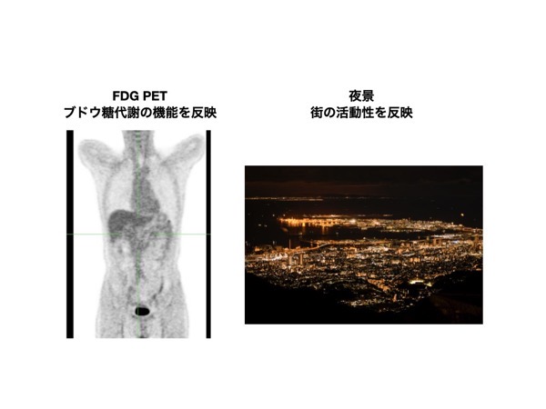 風景とPET 001